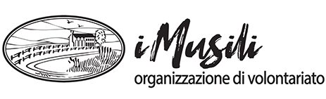 logo IMusili org associazione